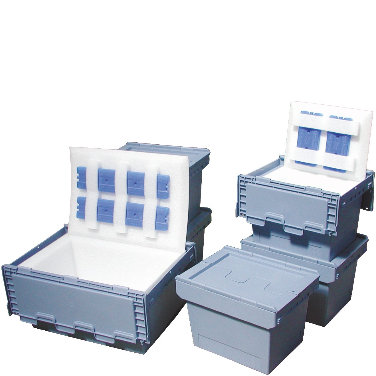 Thermoinlays Thermoinlay 43 - für Mehrwegbehälter MB